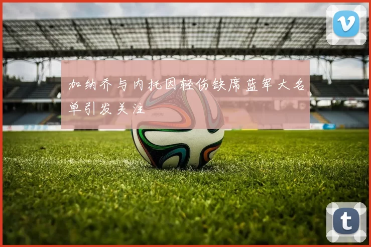 加纳乔与内托因轻伤缺席蓝军大名单引发关注